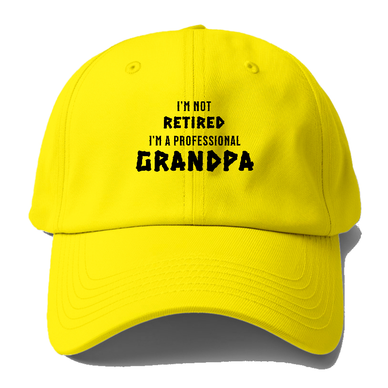 I'm not retired I'm a professional grandpa Hat