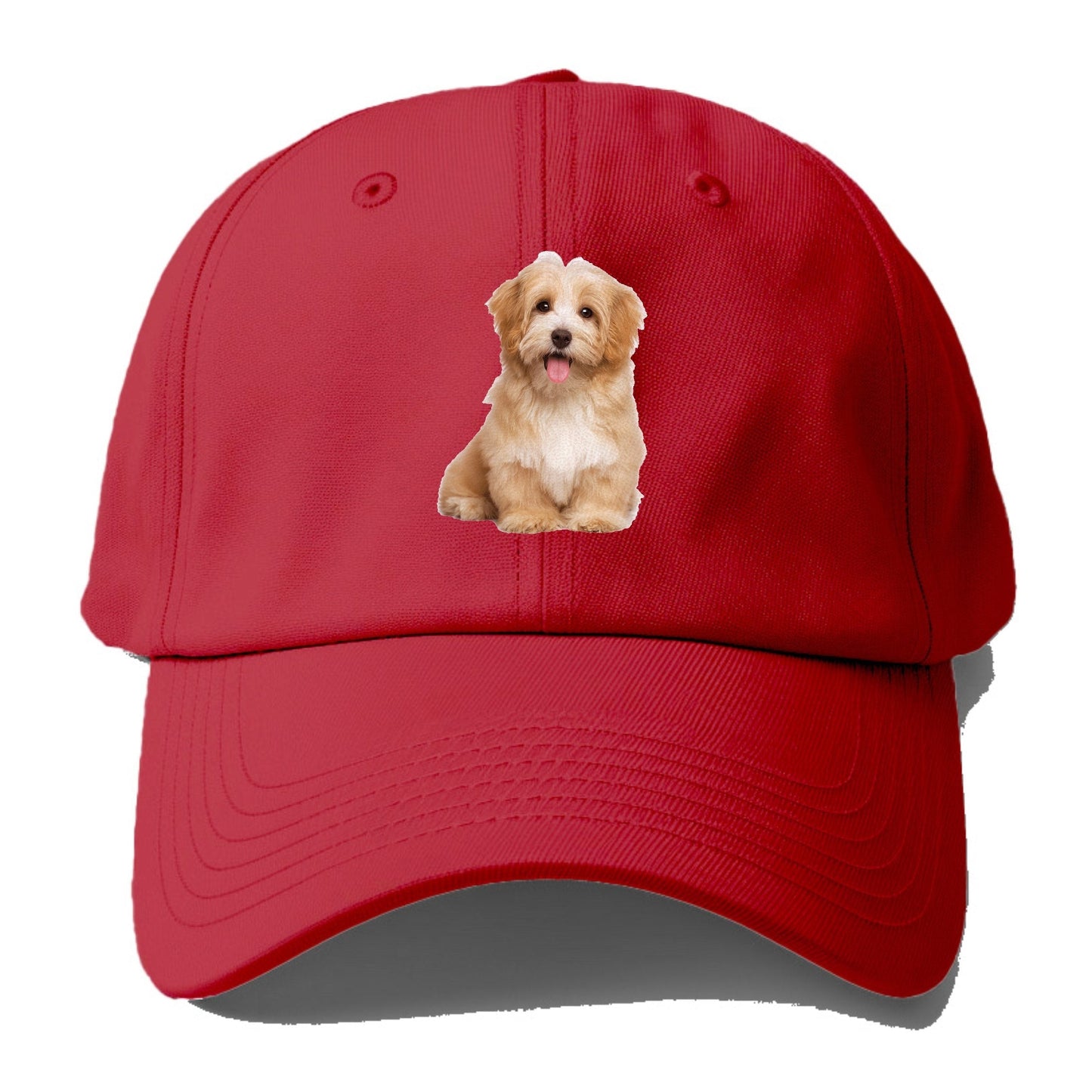 Adorable Shih Tzu Hat