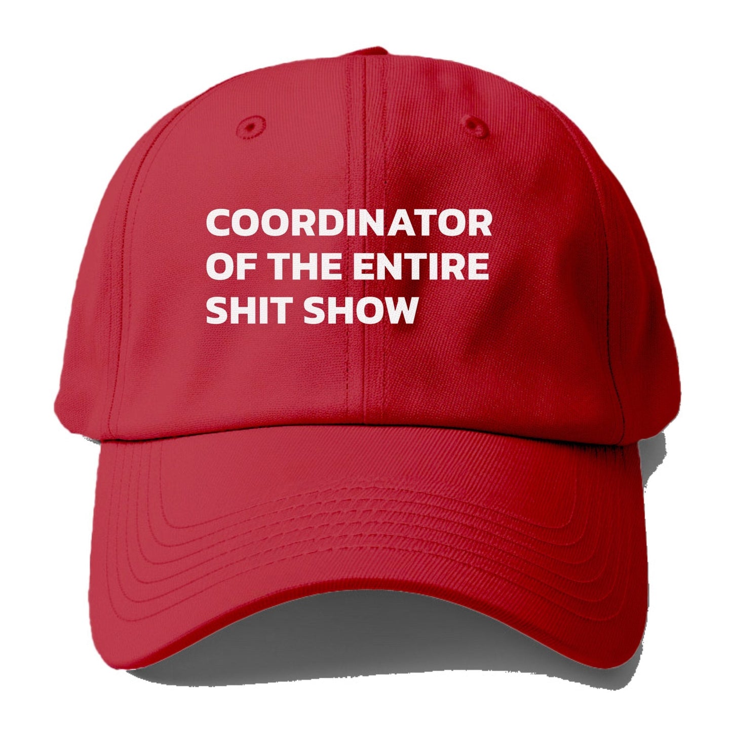 coordinator of the entire shit show Hat