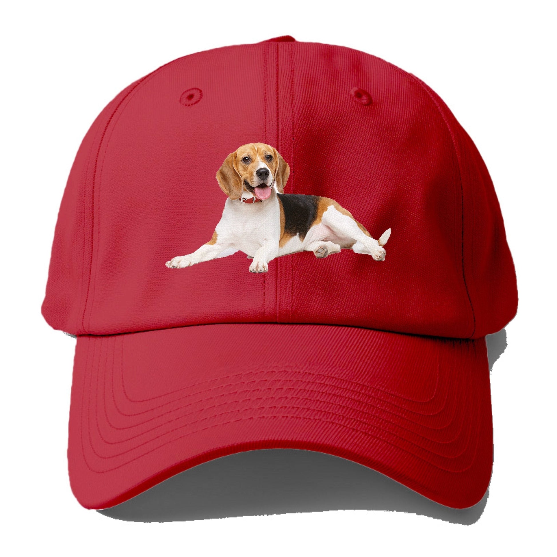 beagle Hat