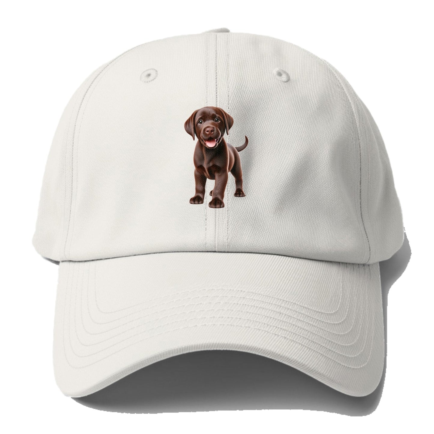 chocolate labrador Hat